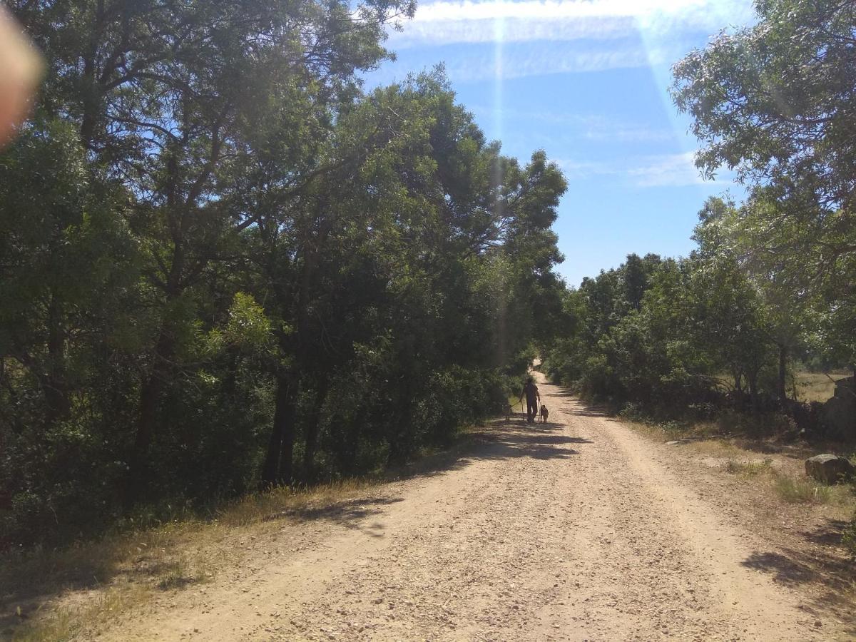 Acogedora Casa Rural En La Sierra De Madrid Mataelpino Bagian luar foto