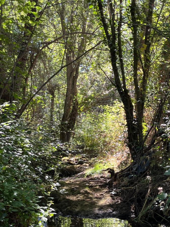 Acogedora Casa Rural En La Sierra De Madrid Mataelpino Bagian luar foto